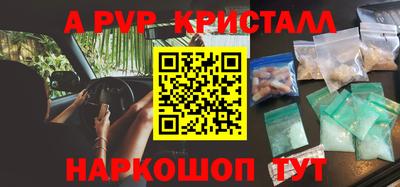 стаф Кингисепп